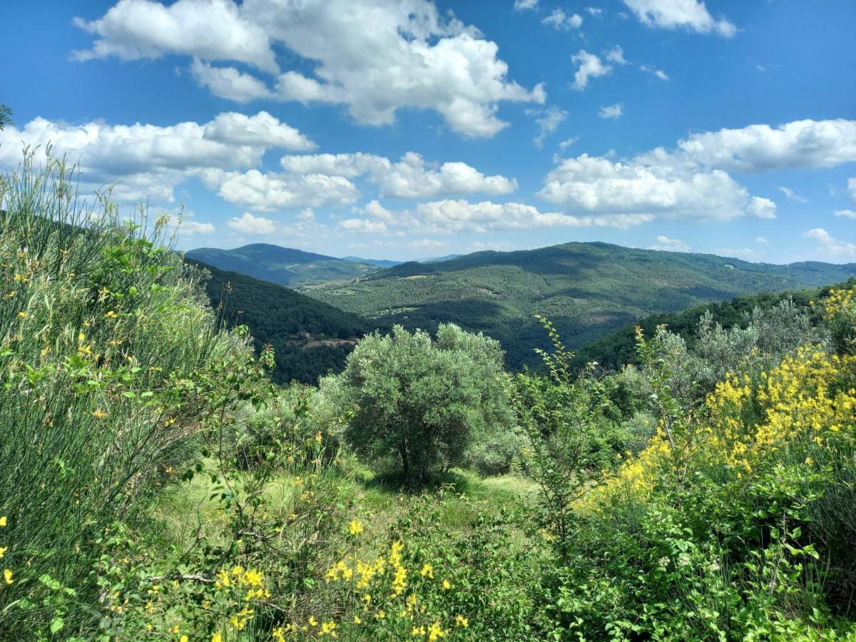Valle Dame Кортона Екстер'єр фото