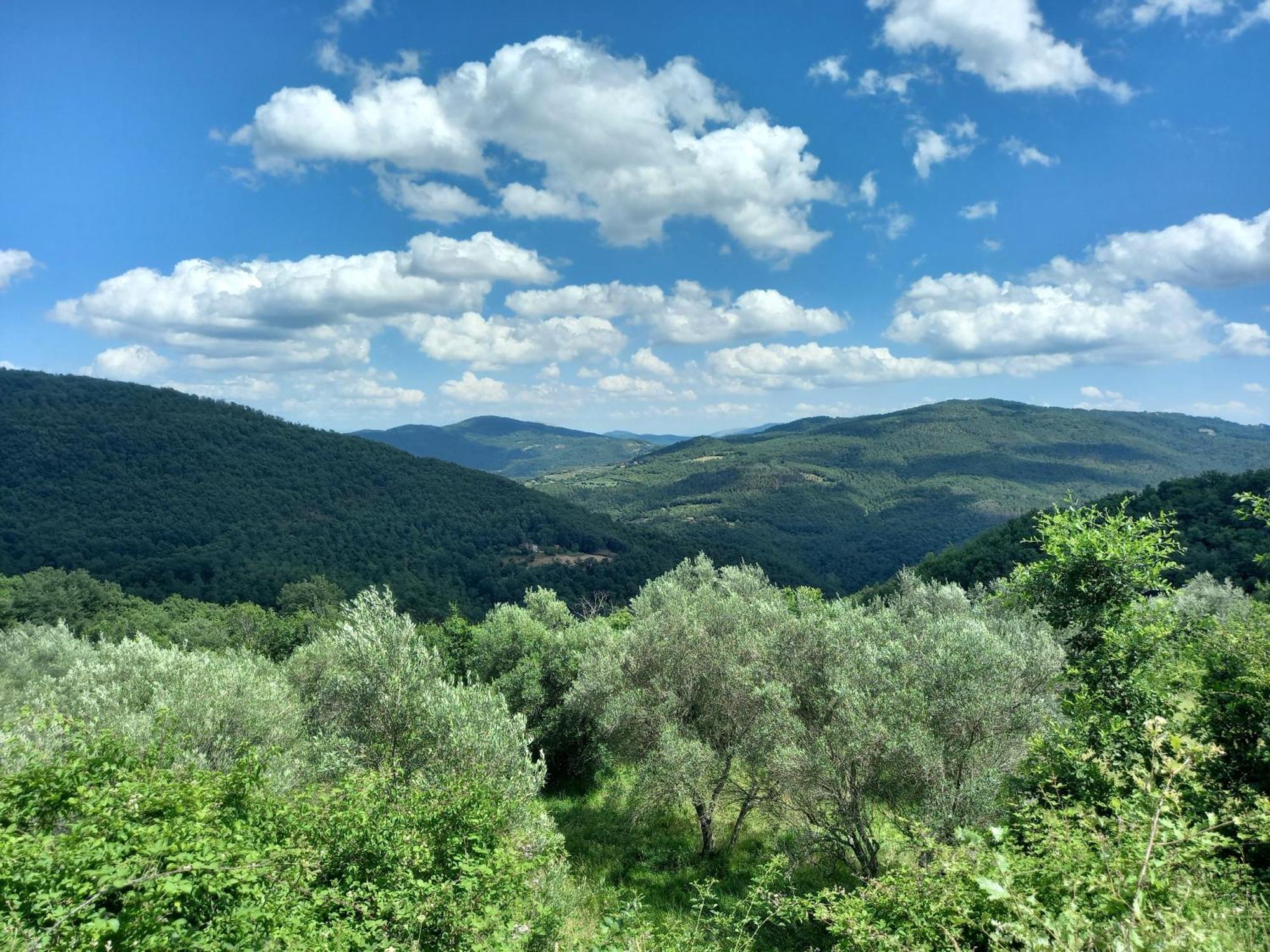 Valle Dame Кортона Екстер'єр фото
