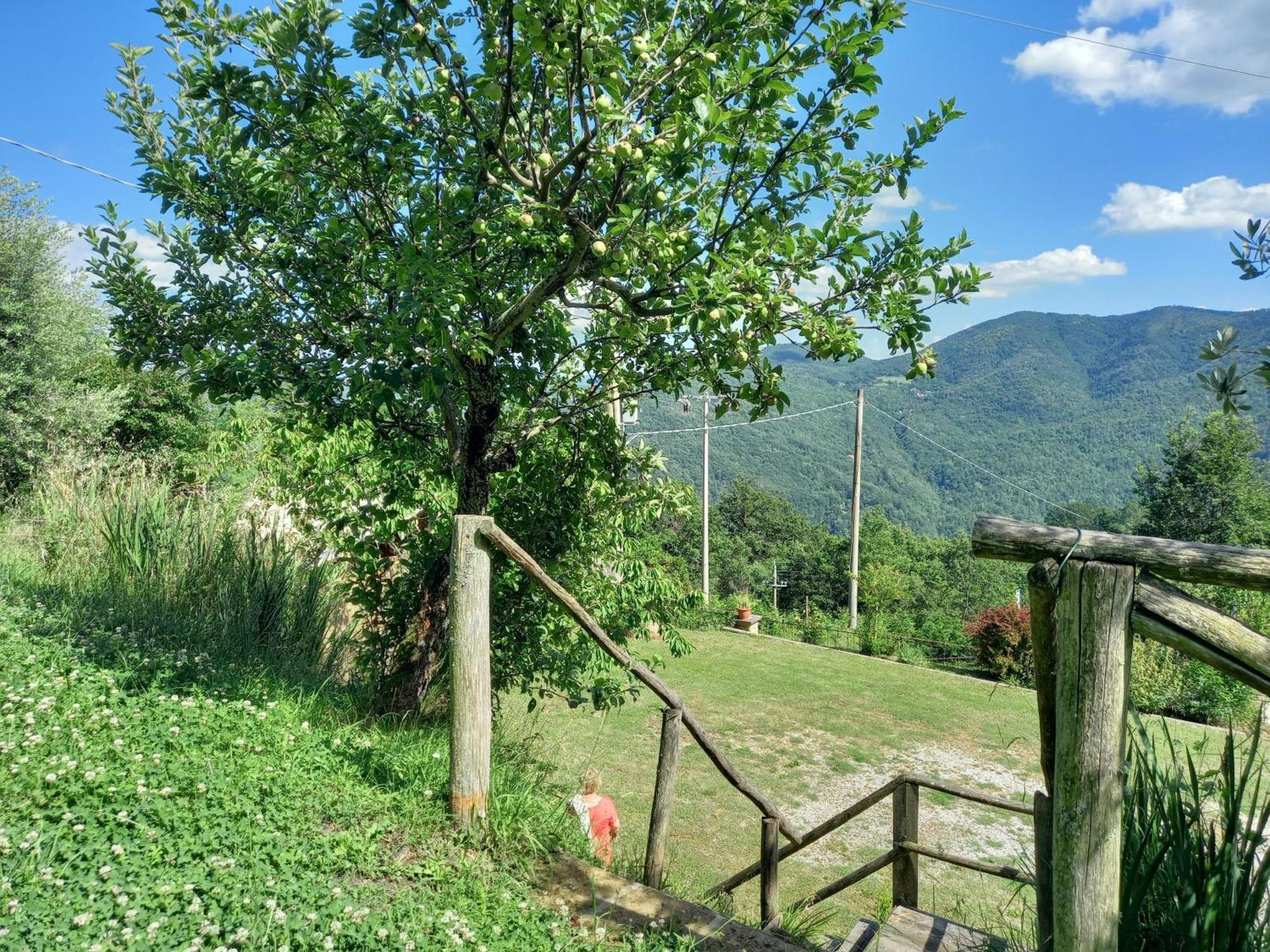 Valle Dame Кортона Екстер'єр фото